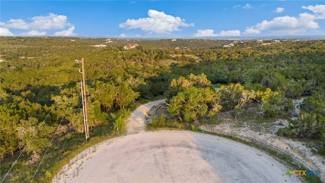 1196 Senisa Way, Spring Branch, TX 78070 - photo 9