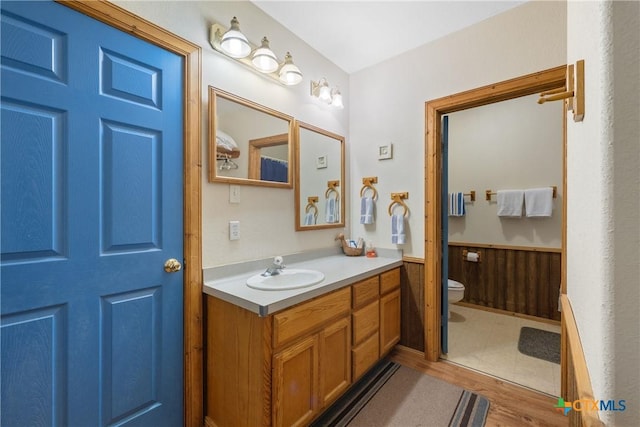 bathroom with wood-type flooring, toilet, and vanity