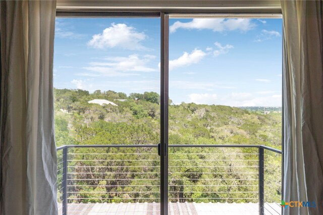 95 Mission Dr, New Braunfels, TX 78130 - view of entryway