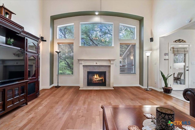 1800 Bluffwood Pl, Round Rock, TX 78665 - living area with light wood finished floors, a glass covered fireplace, a towering ceiling, and baseboards