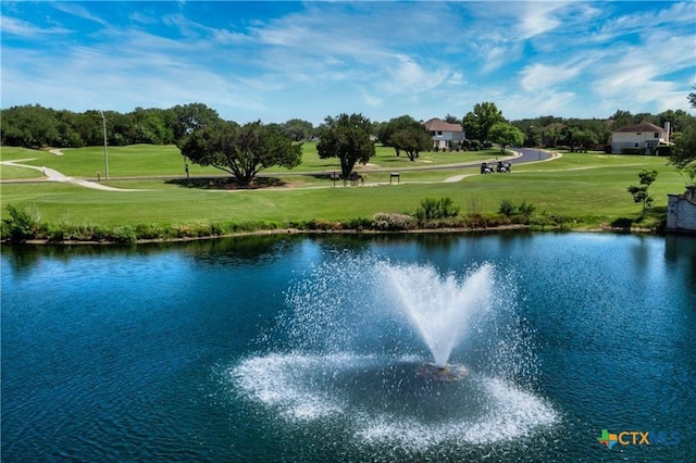 1800 Bluffwood Pl, Round Rock, TX 78665 - view of home's community with a water view, a lawn, and view of scattered trees