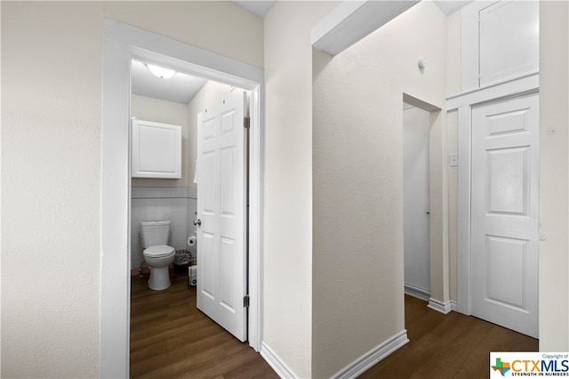 hallway with tile walls and dark hardwood / wood-style floors