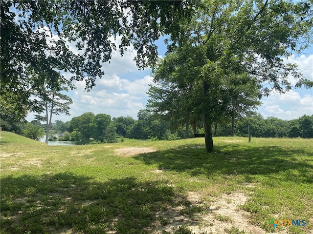 591 Vista Del Rio, New Braunfels, TX 78130 - photo 4