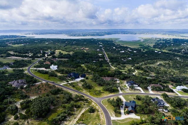 1559 Lake Ridge Blvd, Canyon Lake, TX 78133 - photo 15