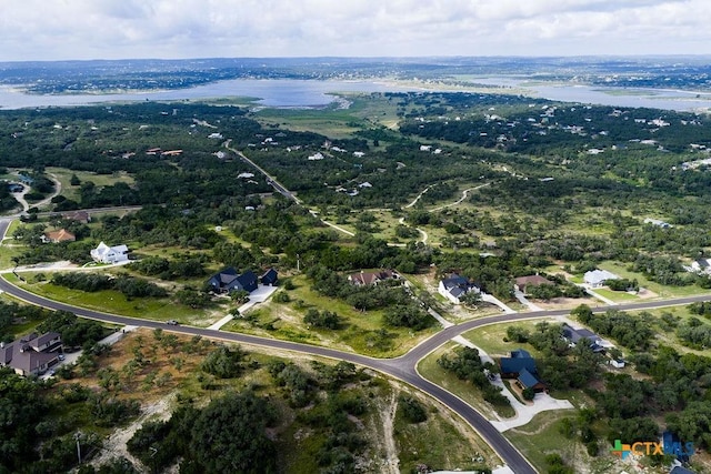 1559 Lake Ridge Blvd, Canyon Lake, TX 78133 - photo 13