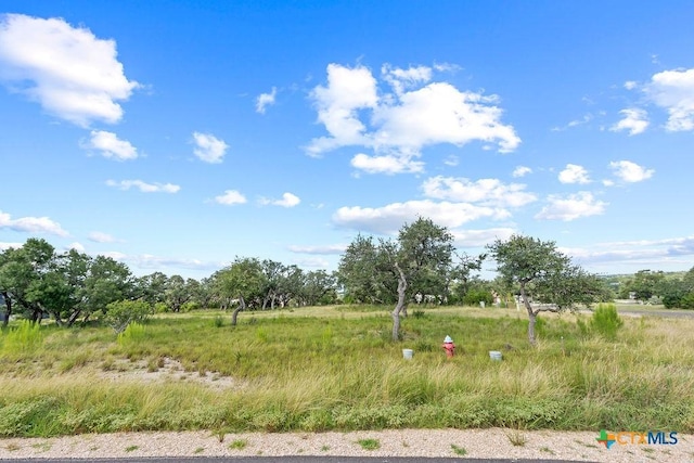 1559 Lake Ridge Blvd, Canyon Lake, TX 78133 - photo 3