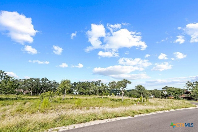 1559 Lake Ridge Blvd, Canyon Lake, TX 78133 - photo 4