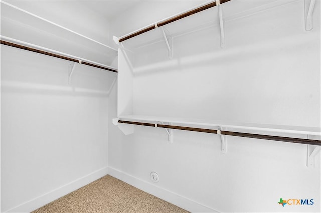 walk in closet featuring carpet floors