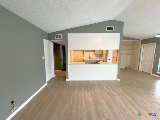 105 Kensington Dr, Victoria, TX 77901 - unfurnished living room featuring vaulted ceiling, light wood-type flooring, a textured ceiling, a sink, and baseboards