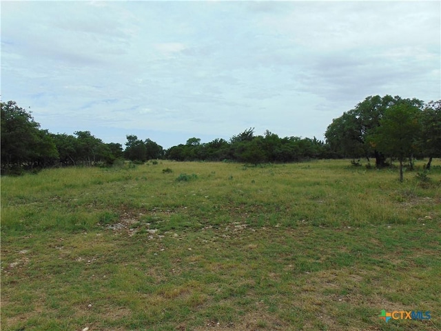 1661 Cottonwood Mesa Dr, Kempner, TX 76539 - photo 1