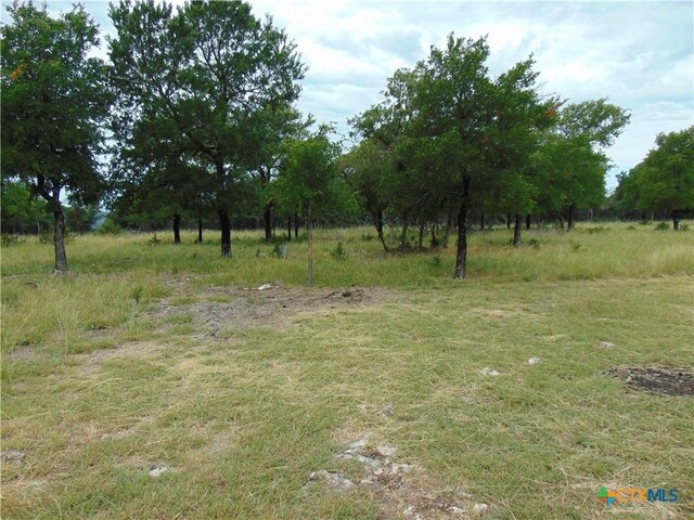 1661 Cottonwood Mesa Dr, Kempner, TX 76539 - photo 12