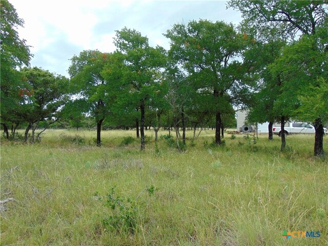 1661 Cottonwood Mesa Dr, Kempner, TX 76539 - photo 11