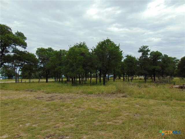 1661 Cottonwood Mesa Dr, Kempner, TX 76539 - photo 7