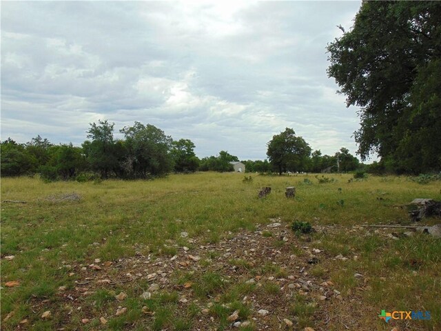 1661 Cottonwood Mesa Dr, Kempner, TX 76539 - photo 19