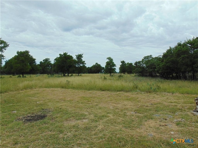 1661 Cottonwood Mesa Dr, Kempner, TX 76539 - photo 2