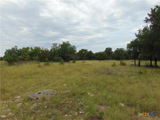 1661 Cottonwood Mesa Dr, Kempner, TX 76539 - photo 13