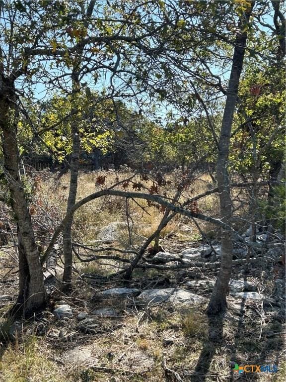 15848 Goliad Loop, Temple, TX 76502 - photo 2