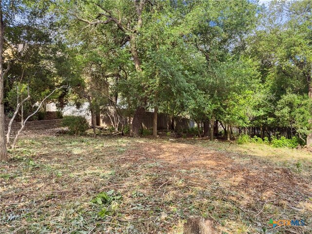 105 Yaupon Ct, San Marcos, TX 78666 - photo 9