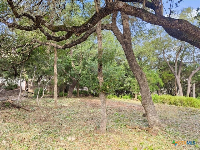 105 Yaupon Ct, San Marcos, TX 78666 - photo 3