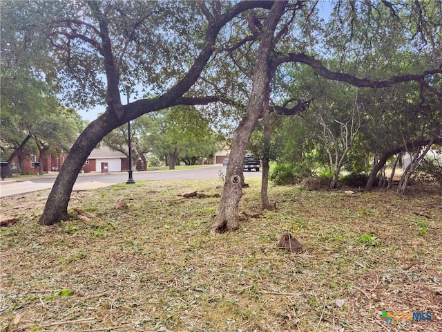 105 Yaupon Ct, San Marcos, TX 78666 - photo 11