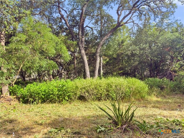 105 Yaupon Ct, San Marcos, TX 78666 - photo 10