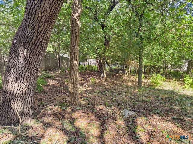 105 Yaupon Ct, San Marcos, TX 78666 - photo 6