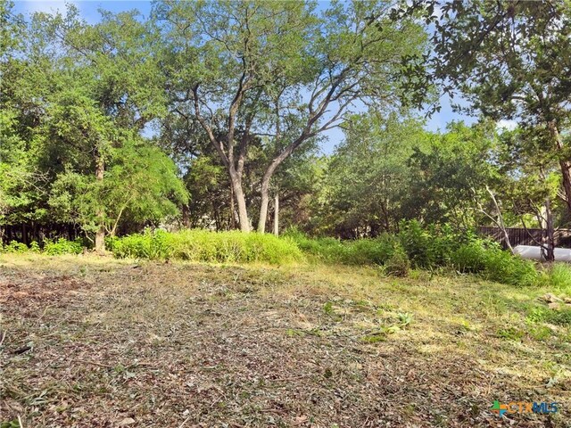 105 Yaupon Ct, San Marcos, TX 78666 - photo 12