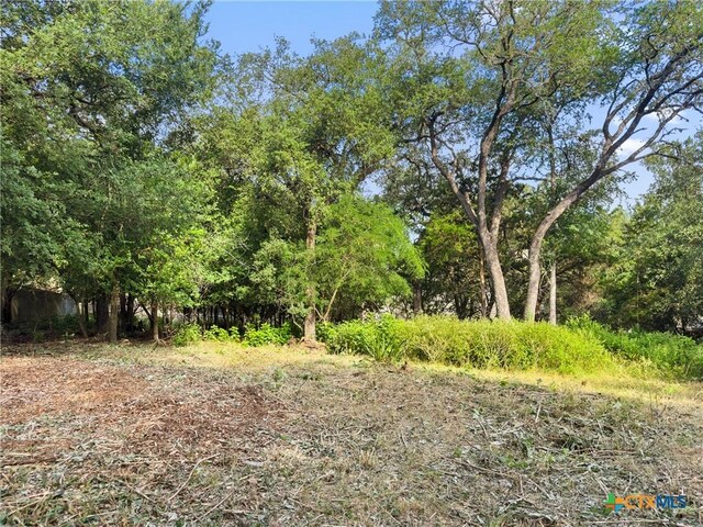 105 Yaupon Ct, San Marcos, TX 78666 - photo 8