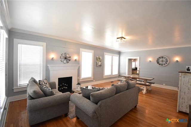 living area with baseboards, wood finished floors, a fireplace, and ornamental molding