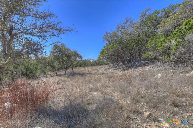 511 Gallagher Dr, Canyon Lake, TX 78133 - photo 3