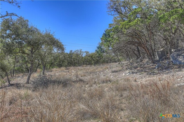 511 Gallagher Dr, Canyon Lake, TX 78133 - photo 4