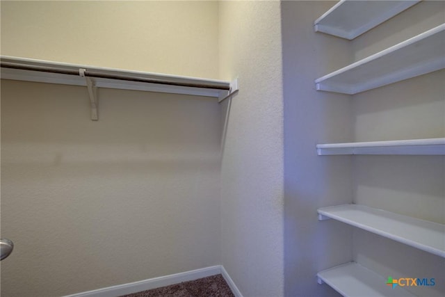 spacious closet featuring carpet flooring