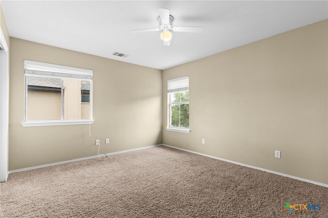 5106 Sydney Harbour Ct, Killeen, TX 76549 - photo 19