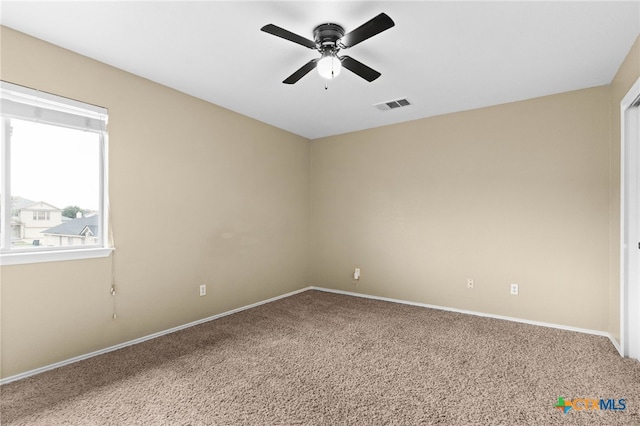 5106 Sydney Harbour Ct, Killeen, TX 76549 - photo 21