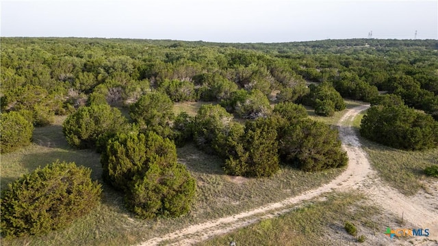 14274 Crows Ranch Rd, Salado, TX 76571