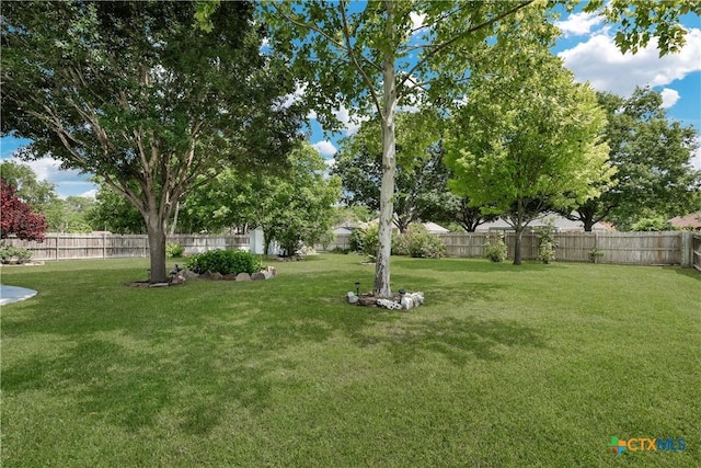 110 Agua Verde, Seguin, TX 78155 - view of yard