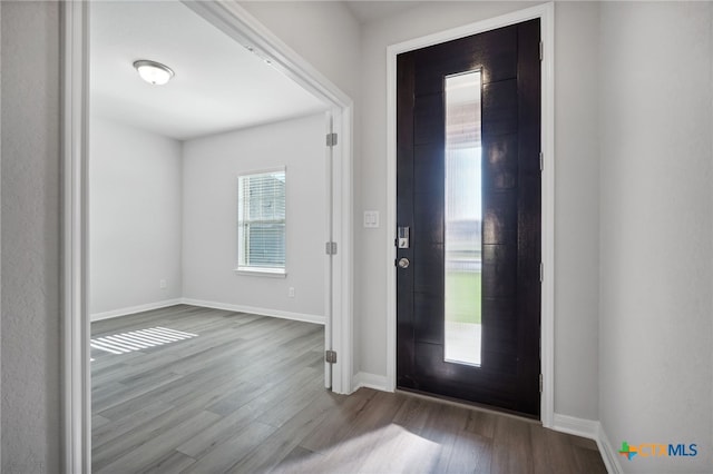 foyer entrance with light hardwood / wood-style flooring