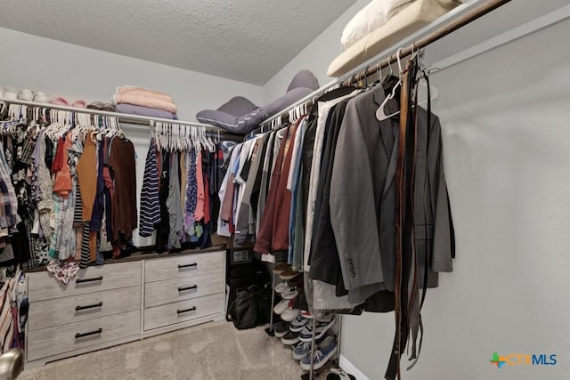 walk in closet with carpet