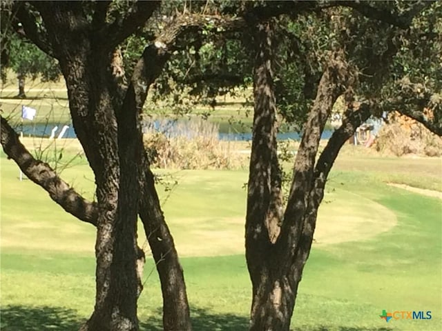 view of property's community featuring a water view and a yard