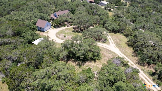 689 Abels Way, Canyon Lake, TX 78133 - bird's eye view of a forest