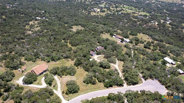 689 Abels Way, Canyon Lake, TX 78133 - aerial view of property's location