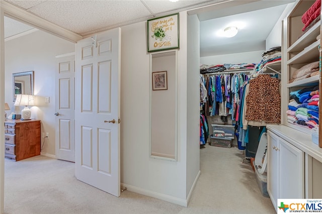 spacious closet featuring light colored carpet