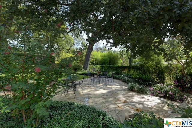 819 Belvin St, San Marcos, TX 78666 - photo 23