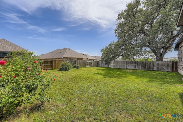 121 Frogfruit Way, San Marcos, TX 78666 - photo 26