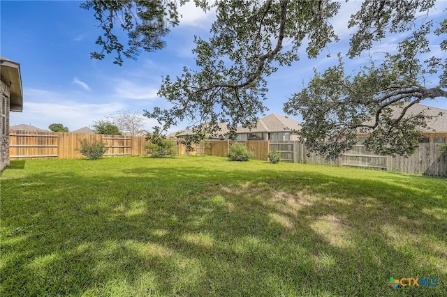 121 Frogfruit Way, San Marcos, TX 78666 - photo 27