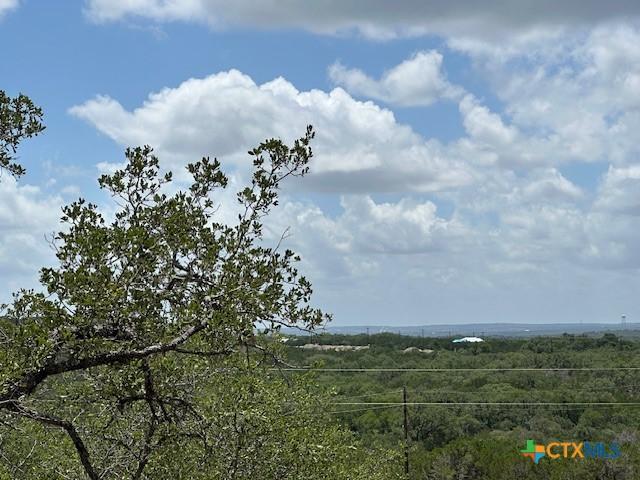 811 Hillside Dr, Spring Branch, TX 78070 - photo 1
