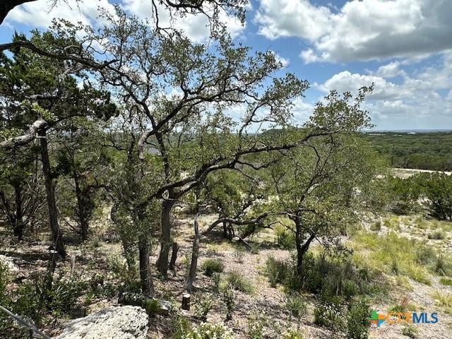 811 Hillside Dr, Spring Branch, TX 78070 - photo 30