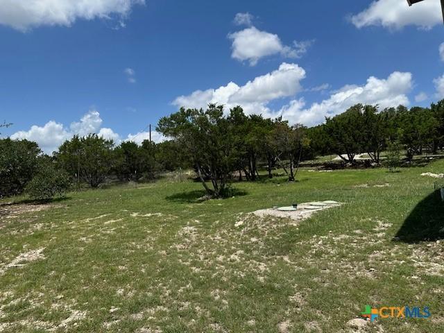 811 Hillside Dr, Spring Branch, TX 78070 - photo 28