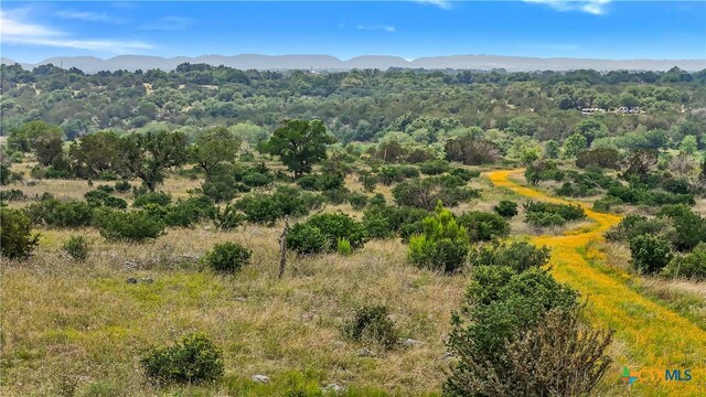 356 One River Pt, Johnson City, TX 78636