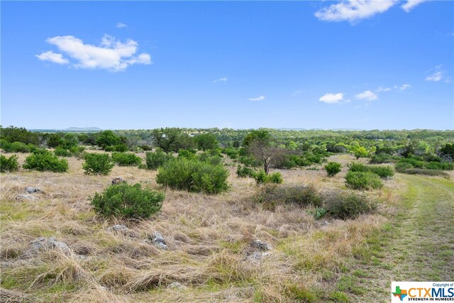 356 One River Pt, Johnson City, TX 78636